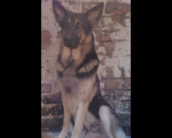 del the gsd