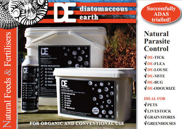 diatomaceous earth