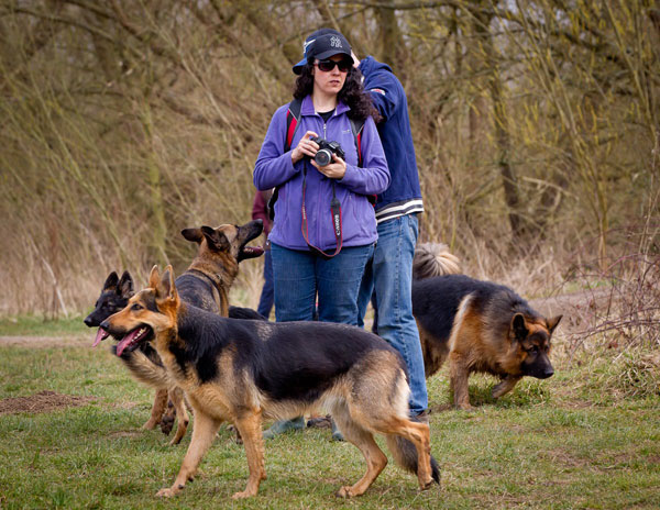 volunteers at a gsdr walk