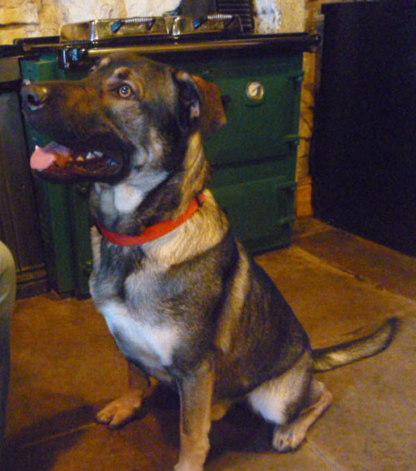 lennox gsd cross