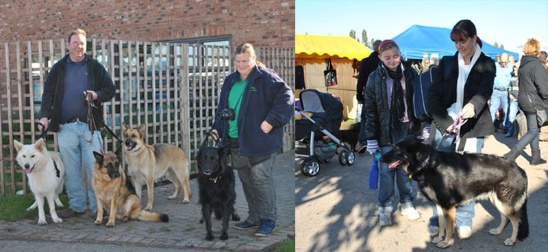 german shoherds with their owners ready for fundraising 