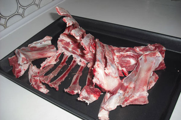 rib of lamb