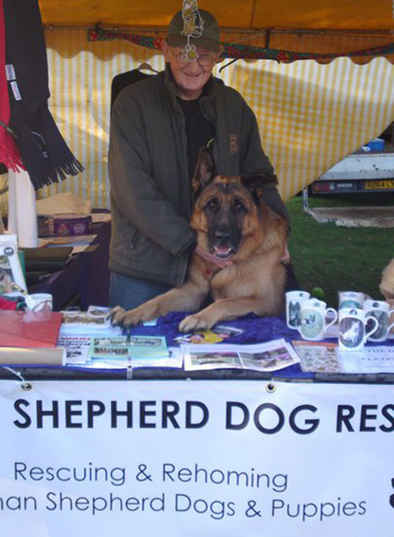 manning the stand with a german shepherd helping