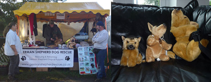 the merchandise stand to help raise money for german shepherds